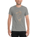 Men’s NEFERTITI Triblend T-shirt